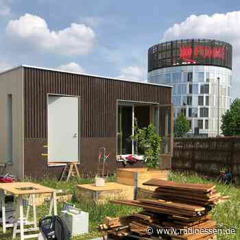 Großer Erfolg in Essen: Kunstausstellung mitten in der Stadt sorgt für viele Besucher - Radio Essen