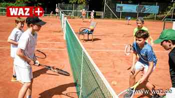 Heiligenhaus: Tennis-Club Blau-Weiss 02 feiert Jubiläum - WAZ News
