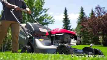 The 5 best cheap lawn mowers of 2022