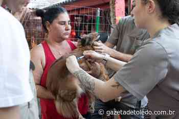 Proteção e Defesa Animal promove em Toledo mobilização para vacinação contra a raiva - Gazeta de Toledo