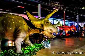 Experience life-like dinosaurs at EY Centre event - Ottawa.CityNews.ca