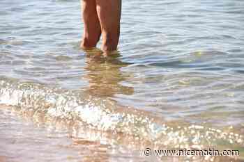 "Ça a été très rapide et furtif": un baigneur mordu à plusieurs reprises par un poisson dans le Var