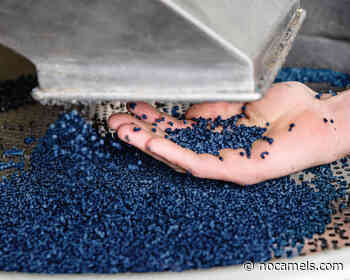 PepsiCo Orders 30,000 Shipping Pallets Made From Waste - NoCamels - Israeli Innovation News