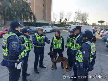 Ciampino, in arrivo un’area cani per le Unità Cinofile della Polizia Locale - CastelliNotizie.it