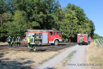 Flächenbrand in Kraichtal greift auf Wald über - Feuerwehren können einen größeren Waldbrand im letzten Moment verhindern - Karlsruhe.One - Das Regionalmagazin