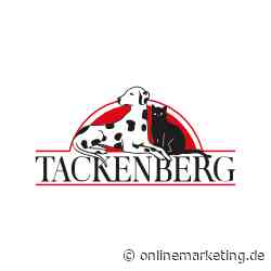 Online Marketing Manager*in – SEA und SEO (m/w/d) - OnlineMarketing.de