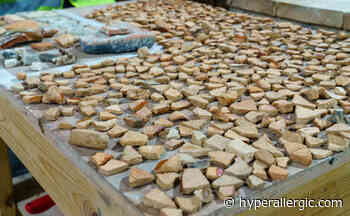 Excavation Work Unveils Constantine-Era Rock Layers In Jerusalem