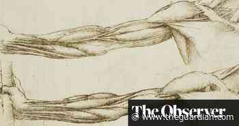 The Grisly Way Leonardo Learned The Beauties Of Human Anatomy