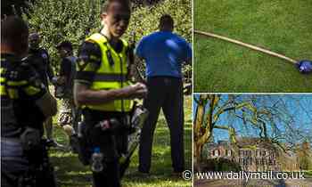 Highland Games tragedy as visitor, 65, is killed instantly when 22lb metal ball hits him in the head - Daily Mail