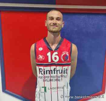 Torre Spes, ufficiale il ritorno dell'ala Michelangelo Vegliò - C Silver Abruzzo - Basketmarche.it