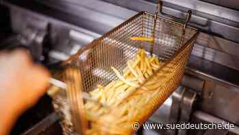 Gastgewerbe - Sonnenblumenöl wird Mangelware bleiben - Wirtschaft - SZ.de - Süddeutsche Zeitung - SZ.de