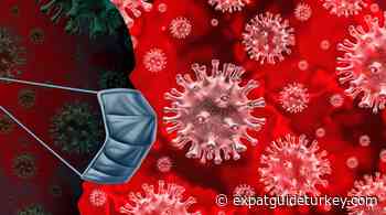 Weekly Coronavirus Chart in Turkey » Expat Guide Turkey - Expat Guide Turkey