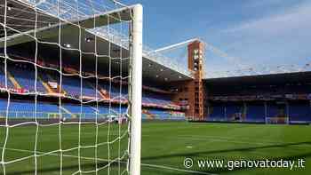 Il prato del Ferraris attaccato da un fungo, vertice straordinario per la rizollatura - GenovaToday