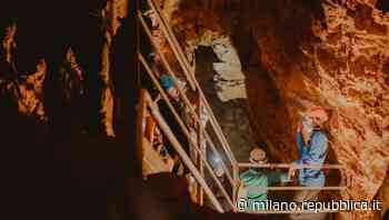Varese, salvato lo speleologo ferito alla testa da un masso a cento metri di profondità - La Repubblica