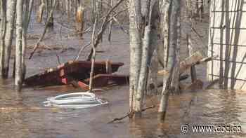 700 kilograms of old flood debris found in Grand Lake-area woods