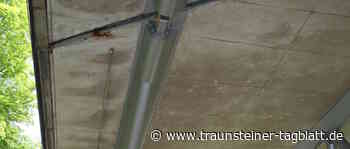 Großer TÜV« für die Brücken: Untersuchungen auch bei Südspange und Schwimmbadsteg - Traunsteiner Tagblatt