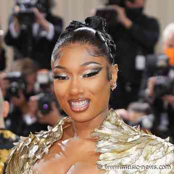Megan Thee Stallion makes guest appearance on P-Valley