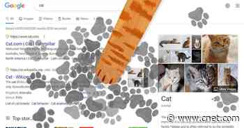 Google Marks International Cat Day With Adorable Paw Print Game     - CNET