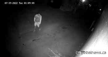 Suspect sought in west Edmonton anti-Asian graffiti investigation