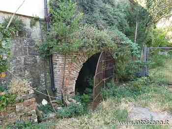 Il rifugio antiaereo di Torrita di Siena rinasce con l'agritech: coltivazioni innovative per la mensa comunale - intoscana - InToscana