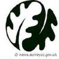 Fly into the future of Farnham this summer - Surrey News