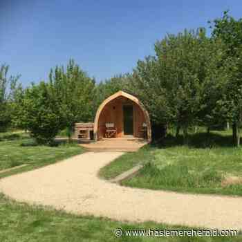 Holiday lets near Farnham from cabins to mansions - Haslemere Herald