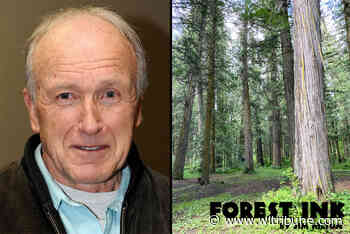 FOREST INK: A sustainable planet through global forests - Williams Lake Tribune