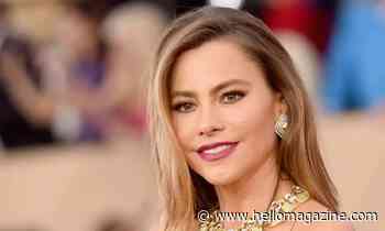 Sofia Vergara, 49, showcases very pert rear - and fans are freaking out - HELLO!