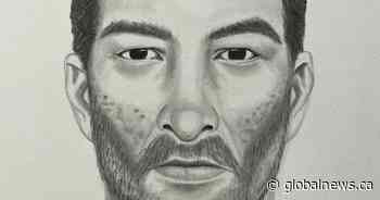 La Ronge RCMP release sketch of suspect in sexual assault investigation