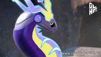 Pokémon Karmesin & Purpur: Paldea-Pokémon im Video - COMPUTER BILD