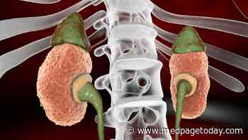 Aldosterone Linked to Kidney Failure Risk, Irrespective of Diabetes