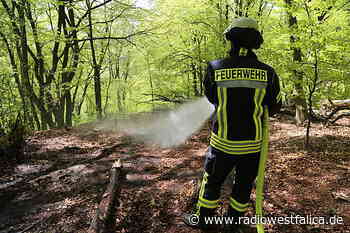 Ermittlungen nach Waldbrand in Stemwede - Radio Westfalica