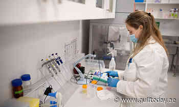 UAE sees 923 new coronavirus cases in 24 hours - Gulf Today