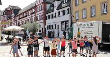 Ellwangen: Rindelbacher Grundschüler tanzen am Fuchseck - Schwäbische