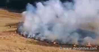 Warning after Exeter burns in a series of fires - Devon Live