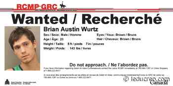 Leduc stabbing suspect facing four charges - The Leduc Rep