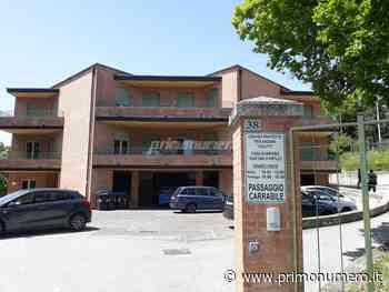 'Pistilli', avvocato Testa torna a guidare il cda. Sindaco: “Ora un direttore per migliore gestione” - Primonumero