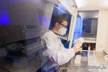 Corona-Update: 377 Neuinfektion im Kreis Coesfeld - Inzidenz sinkt - Ruhr Nachrichten
