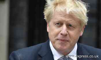 Sensational Boris comeback NOT off the cards! Ally hints at 'danger' of ruling out return - Express