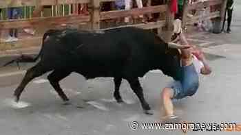 Un cortador de Zamora, ingresado en Valladolid tras ser corneado en el encierro de Íscar - Zamora News