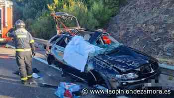 El escalofriante dato de los fallecidos en las carreteras de Zamora, "las cifras son aterradoras" - La Opinión de Zamora