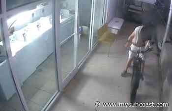 Sarasota police looking for suspected Marina Jack's burglar - WWSB