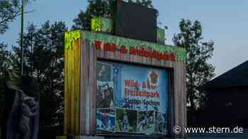 Cochem-Zell: Tod im Freizeitpark: 57-Jährige stürzt aus Achterbahn - STERN.de