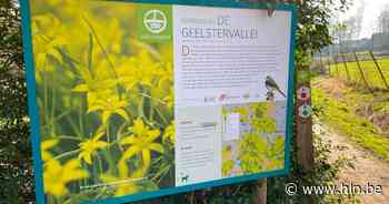 Natuurpunt ruimt Geelstervallei op - Het Laatste Nieuws