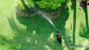 Outdoor water ban in Harrow and Colchester South rescinded - CBC.ca