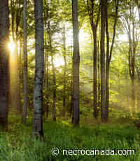 ALLAN GEORGE BROOKS 2022 - Nécrologie Canada