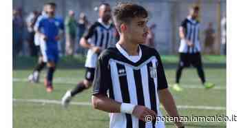 Mercato Eccellenza, le ultime di Vultur e Città dei Sassi Matera - Potenza IamCALCIO