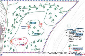 Cumberland considers Solport Park ideas - Comox Valley Record