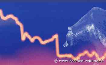 Analysten zeigen Skepsis - Börsen-Zeitung