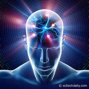 How to Increase Your Dopamine Levels Naturally